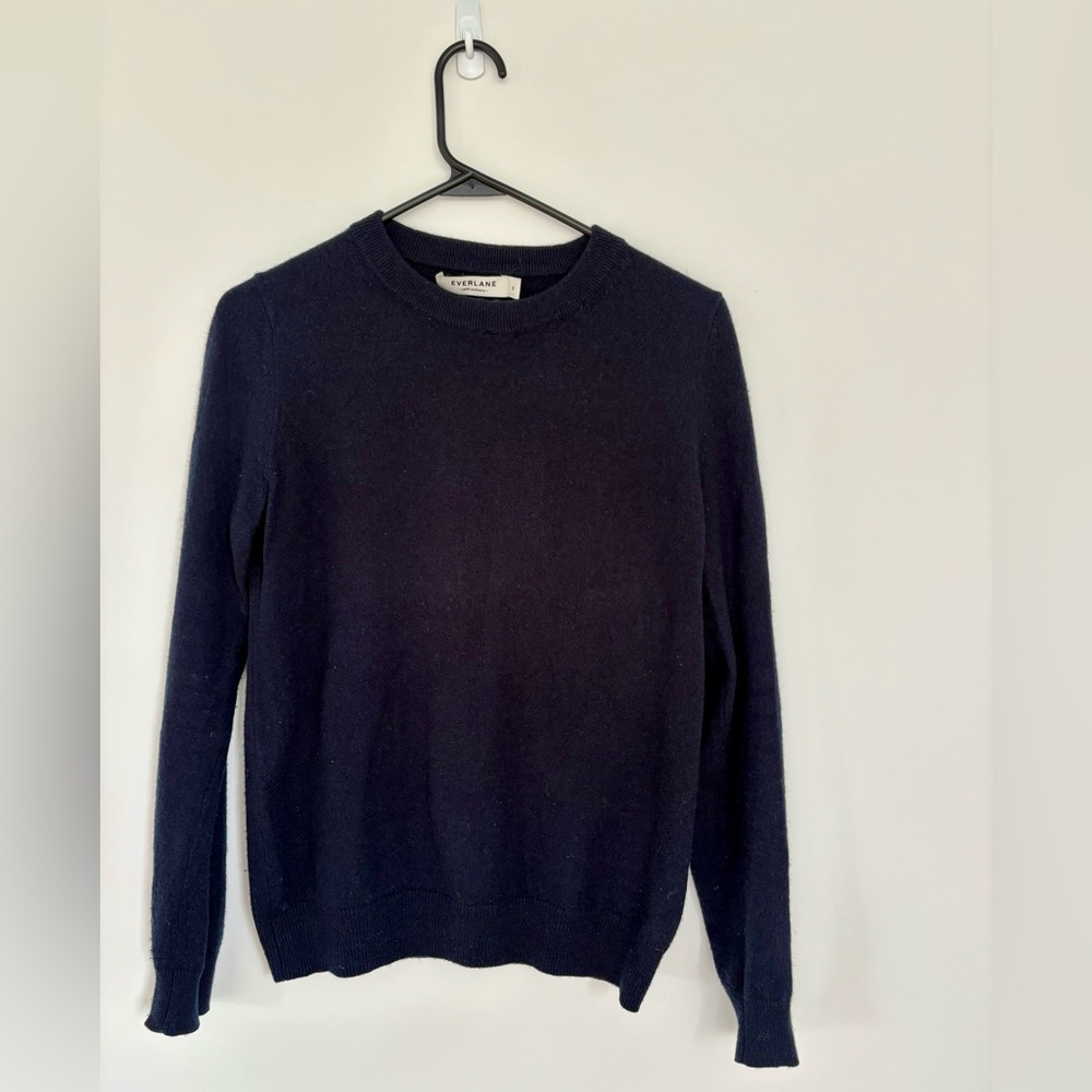 Everlane 100% cashmere crew neck sweater